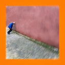 Mentiras ou Verdades