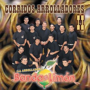 La Arrolladora Banda el Limón 6