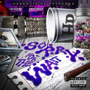 Herencia de Patrones 3