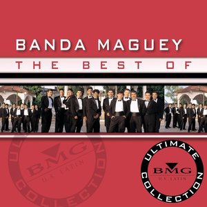 Banda Maguey 1