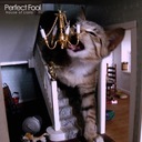 Perfect Fool