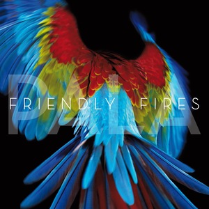 Friendly Fires 12