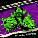 Pitbull Terrier Biry