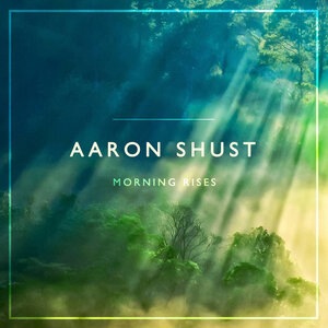 Aaron Shust 7
