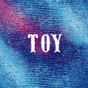 Toy 6