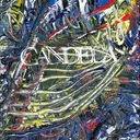 Lucid Latin Ladies (I Want Your Money Not Your Babies)