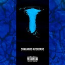 Michelangelo e da Vinci