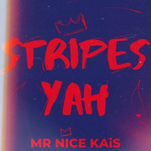 MR NiCE KAiS 3