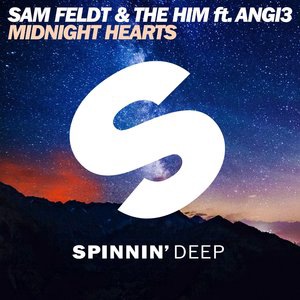 Sam Feldt 11