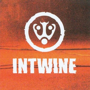 Intwine 4