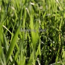 Secrets (Paint Me Away)