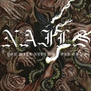 They Come Crawling Back