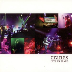 Cranes 7