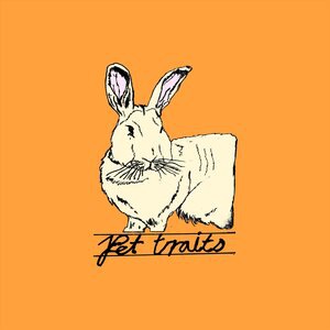 Per the Doctor's Orders