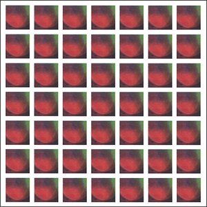 Mina Damer Och Fasaner