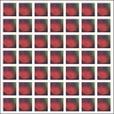 Mina Damer Och Fasaner