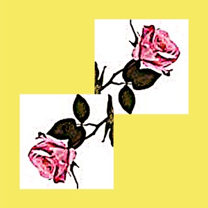 Take a Look at Yourself