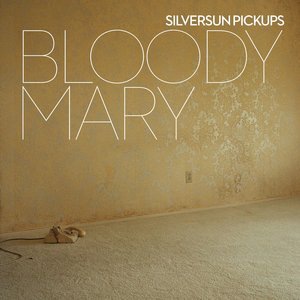 Silversun Pickups 6