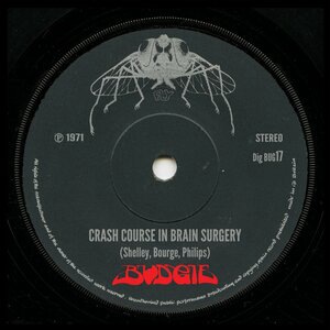 Crash Course In Brain Surgery