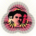 What You Will Find Is