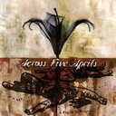 Car Wrecks and Plane Crashes