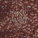 Pieśń panny IV (Wersja radiowa)