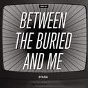 Foam Born (A) The Backtrack