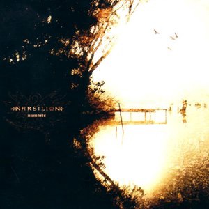 Namárië_ el Llanto de Galadriel