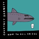 How to Boil an Egg