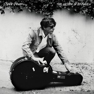 Steve Gunn 4