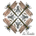 Accidentes (7", 2006)