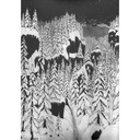 Die Zeit des Torremond