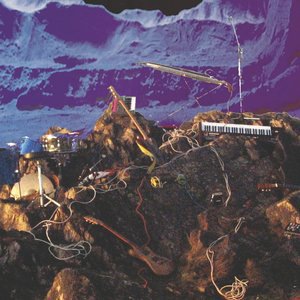 The Bears Are Coming