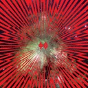 The Enemy Are The Future