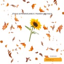 it was September when i pushed you back