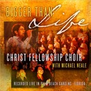 On Mountains High [Split Trax]