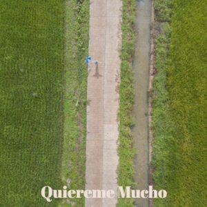 Los Versos para mi Madre