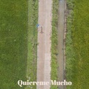 Los Versos para mi Madre