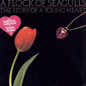 A Flock Of Seagulls 9