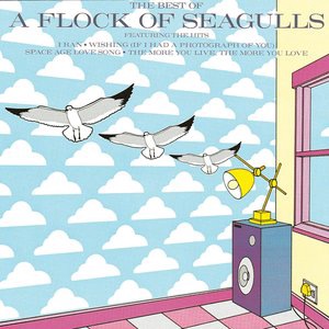 A Flock Of Seagulls 6