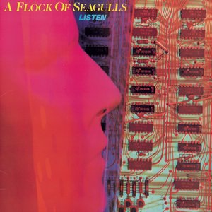 A Flock Of Seagulls 5