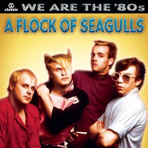 A Flock Of Seagulls 4