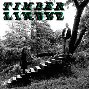 Timber Timbre 7