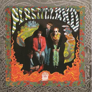 Sipping the Bitterness