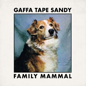 Gaffa Tape Sandy 2