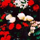 Ingenuità dei lettori e delle lettere