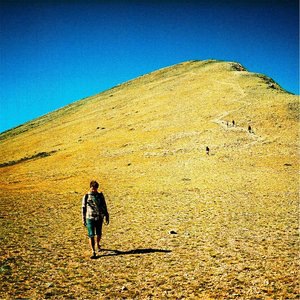 Preparing for Alaska, Chiasmus or John Steinbeck