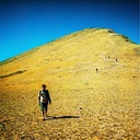 Preparing for Alaska, Chiasmus or John Steinbeck