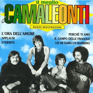 I Camaleonti 4