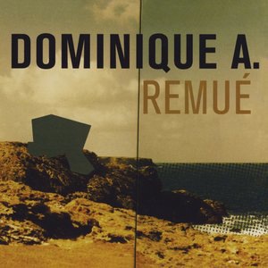 Dominique A 8